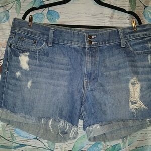 Decree Blue Distressed Jean Shorts